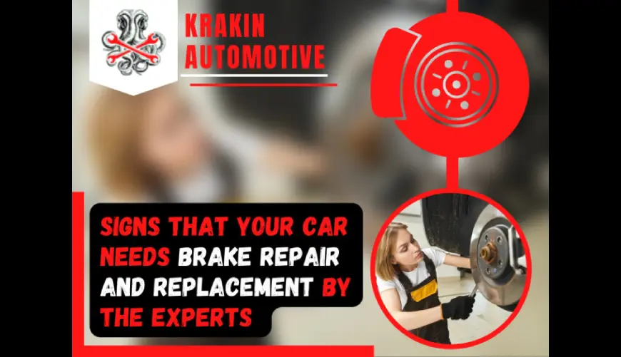 Vehicle brake system inspection